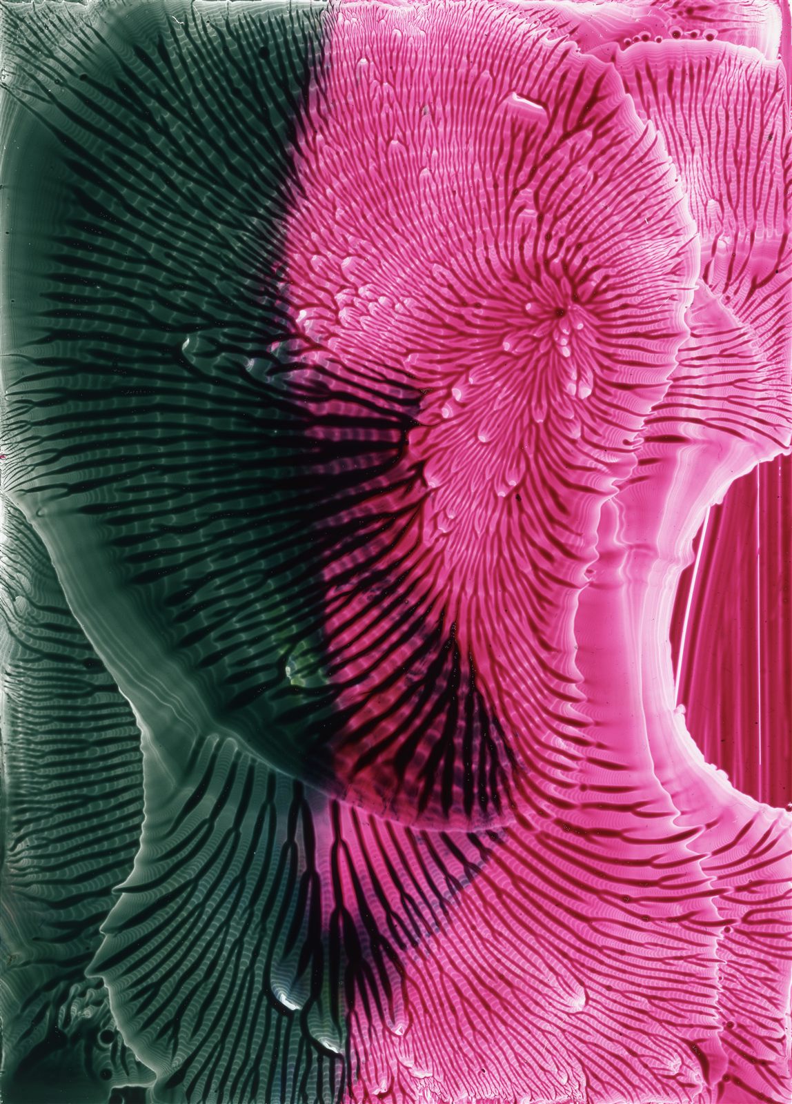 Voice figure 4
