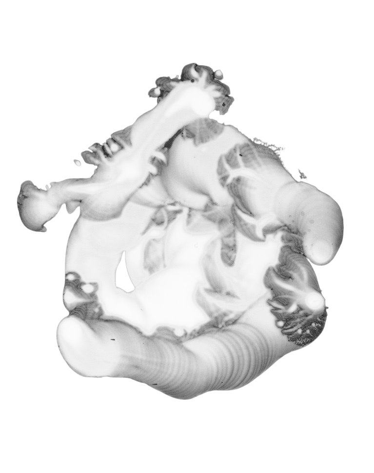 Voice figure 18