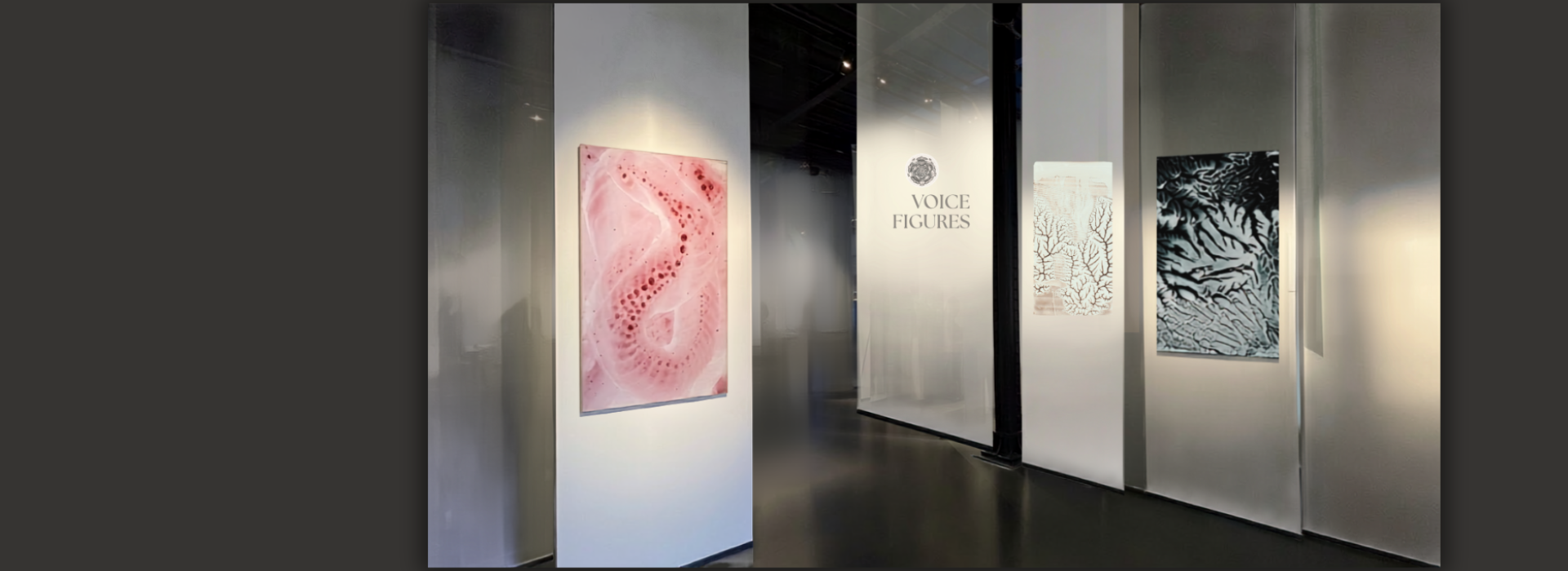 Voice Sounds exhibition installation